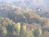 IMG_6554.CR2
