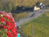 IMG_6556.CR2