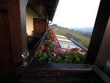 IMG_6575.CR2
