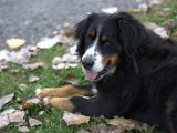 IMG_6647.CR2
