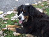 IMG_6649.CR2