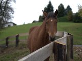 IMG_6651.CR2