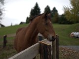 IMG_6652.CR2