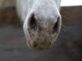 IMG_6655.CR2