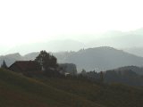 IMG_6680.CR2
