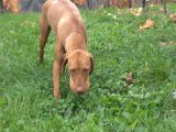 IMG_6721.CR2