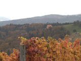 IMG_6723.CR2