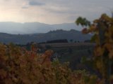 IMG_6724.CR2