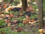 IMG_6736.CR2