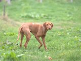 IMG_6737.CR2