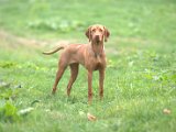 IMG_6744.CR2