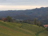 IMG_6747.CR2