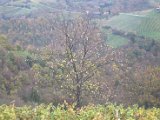 IMG_6749.CR2
