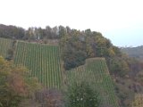 IMG_6751.CR2