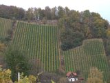 IMG_6762.CR2