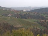 IMG_6765.CR2
