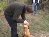 IMG_6767.CR2