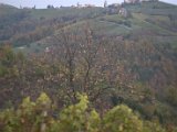 IMG_6776.CR2