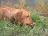 IMG_6779.CR2