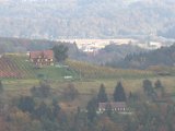 IMG_6780.CR2