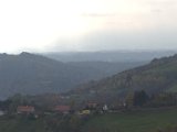 IMG_6781.CR2