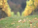 IMG_6786.CR2