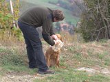 IMG_6796.CR2