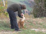 IMG_6797.CR2