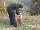 IMG_6798.CR2