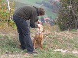 IMG_6799.CR2