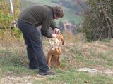 IMG_6800.CR2