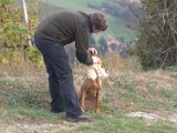 IMG_6801.CR2