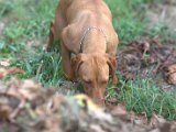 IMG_6824.CR2