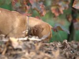 IMG_6830.CR2