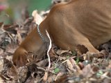 IMG_6835.CR2