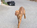 IMG_6841.CR2