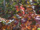 IMG_6843.CR2