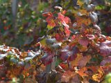 IMG_6844.CR2
