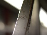 IMG_6913.CR2