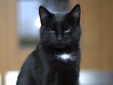 IMG_7042.CR2