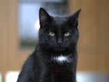 IMG_7043.CR2