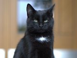 IMG_7045.CR2