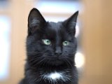 IMG_7047.CR2