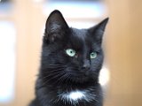 IMG_7049.CR2