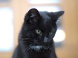 IMG_7052.CR2
