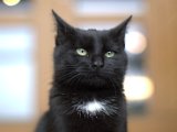 IMG_7055.CR2