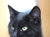 IMG_7057.CR2
