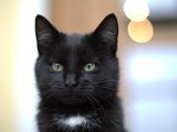IMG_7061.CR2