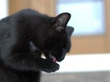 IMG_7064.CR2