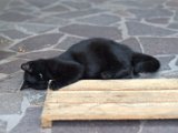 IMG_7067.CR2